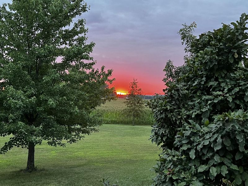 10770 Scott Road, Sidney, OH 45365 Photo 66