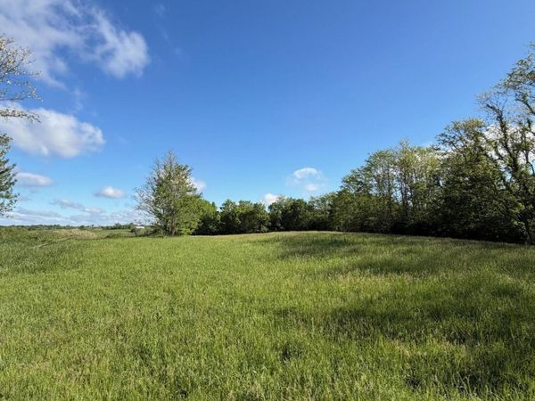 11.19 Ac Chipman Ridge Road, Williamstown, KY 41097