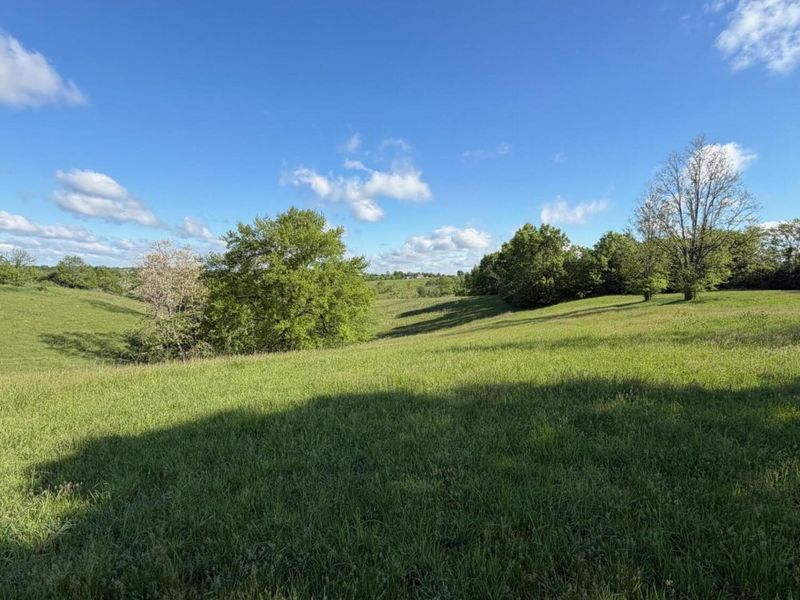 11.19 Ac Chipman Ridge Road, Williamstown, KY 41097 Photo 10