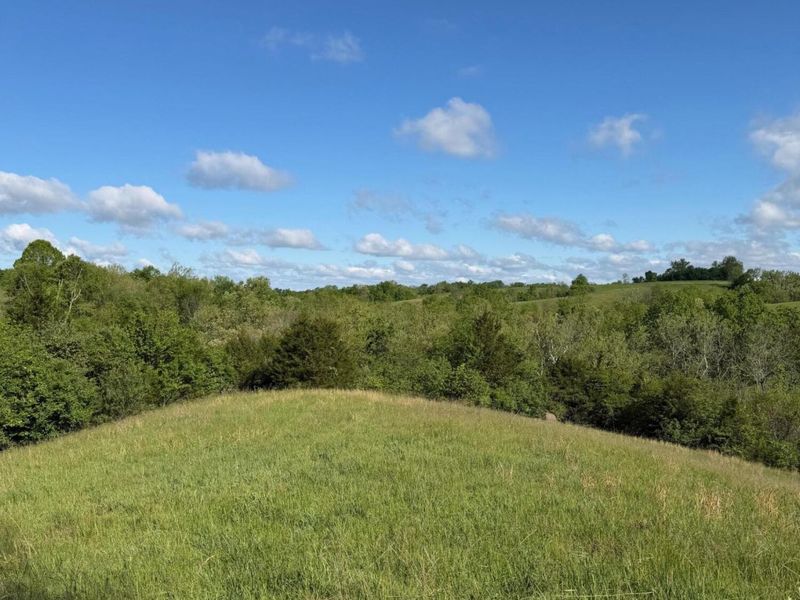 11.19 Ac Chipman Ridge Road, Williamstown, KY 41097 Photo 2