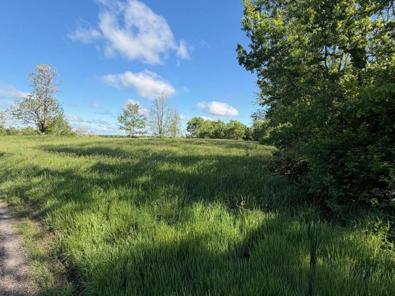 11.19 Ac Chipman Ridge Road, Williamstown, KY 41097 Photo 3