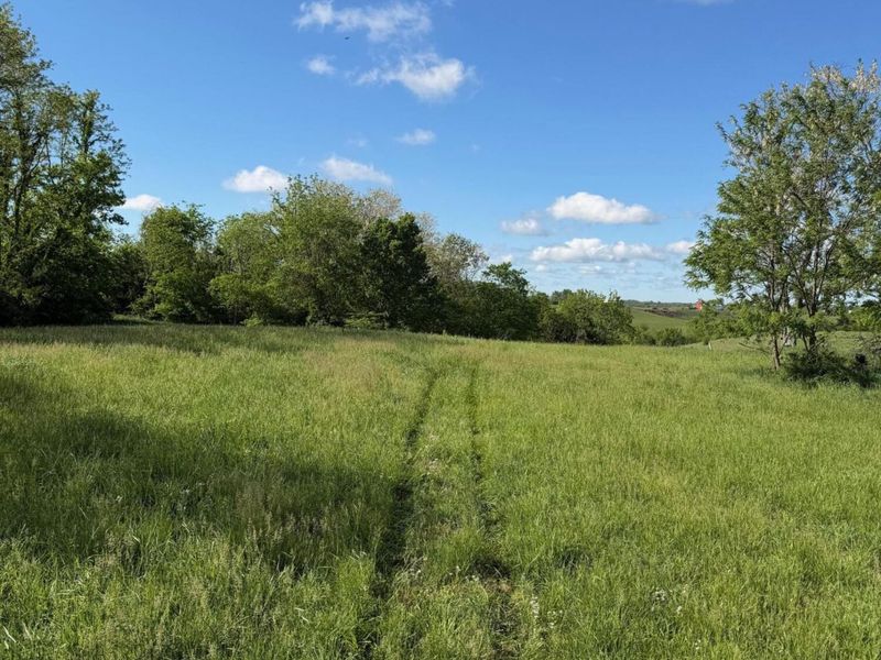 11.19 Ac Chipman Ridge Road, Williamstown, KY 41097 Photo 4