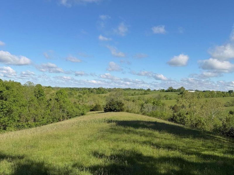 11.19 Ac Chipman Ridge Road, Williamstown, KY 41097 Photo 5