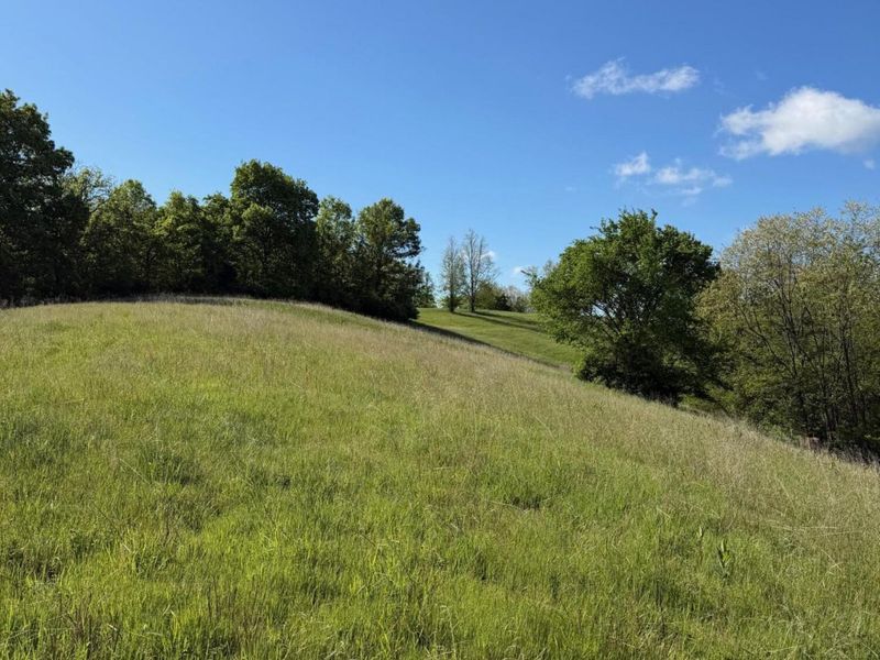 11.19 Ac Chipman Ridge Road, Williamstown, KY 41097 Photo 6