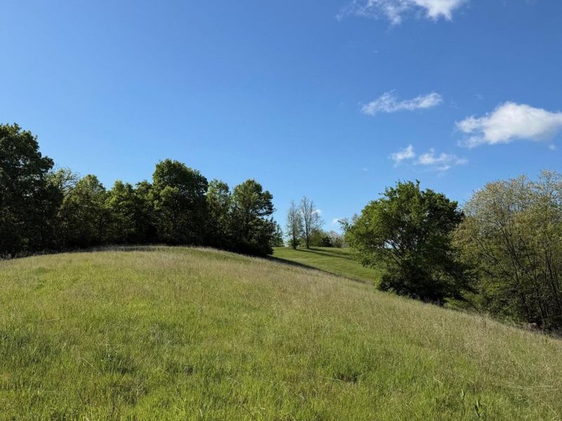 11.19 Ac Chipman Ridge Road, Williamstown, KY 41097 Photo 7