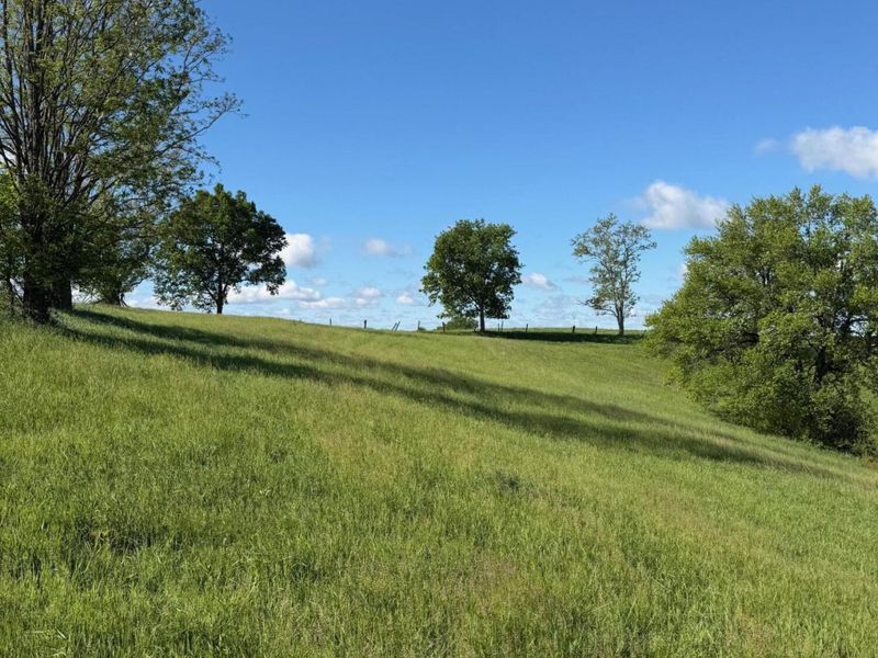 11.19 Ac Chipman Ridge Road, Williamstown, KY 41097 Photo 8