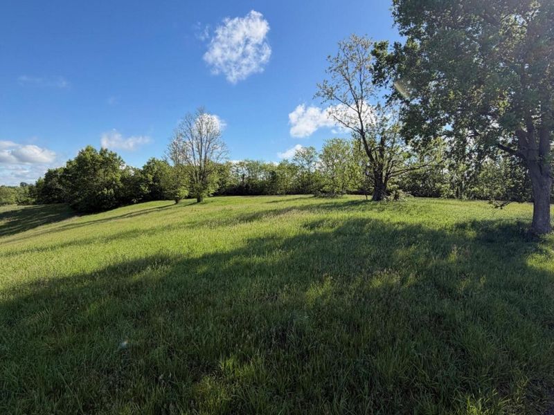 11.19 Ac Chipman Ridge Road, Williamstown, KY 41097 Photo 9