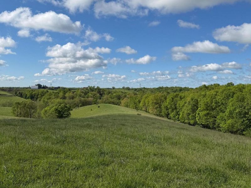 14.17 Ac Chipman Ridge Road, Williamstown, KY 41097 Photo 1
