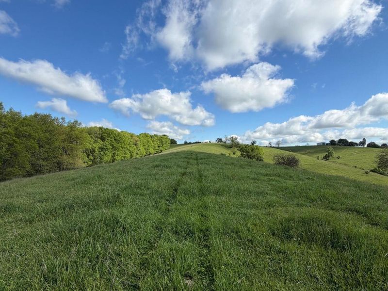14.17 Ac Chipman Ridge Road, Williamstown, KY 41097 Photo 10