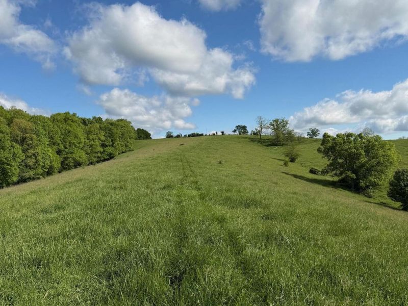 14.17 Ac Chipman Ridge Road, Williamstown, KY 41097 Photo 11