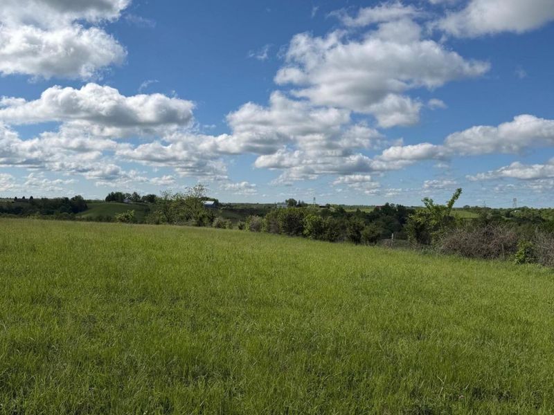 14.17 Ac Chipman Ridge Road, Williamstown, KY 41097 Photo 12