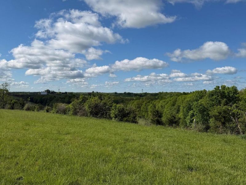 14.17 Ac Chipman Ridge Road, Williamstown, KY 41097 Photo 13