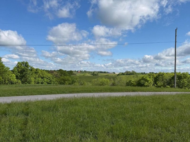 14.17 Ac Chipman Ridge Road, Williamstown, KY 41097 Photo 14
