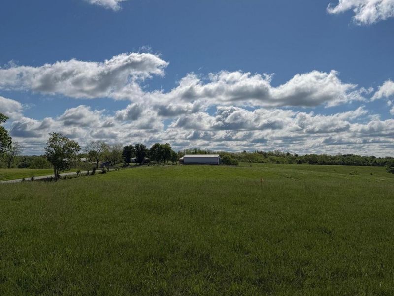 14.17 Ac Chipman Ridge Road, Williamstown, KY 41097 Photo 15