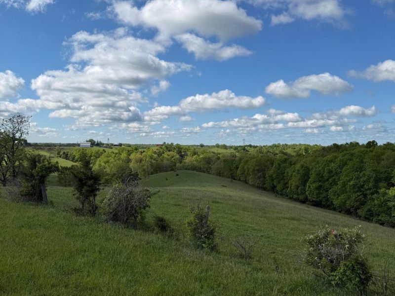 14.17 Ac Chipman Ridge Road, Williamstown, KY 41097 Photo 16