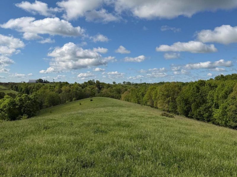 14.17 Ac Chipman Ridge Road, Williamstown, KY 41097 Photo 2