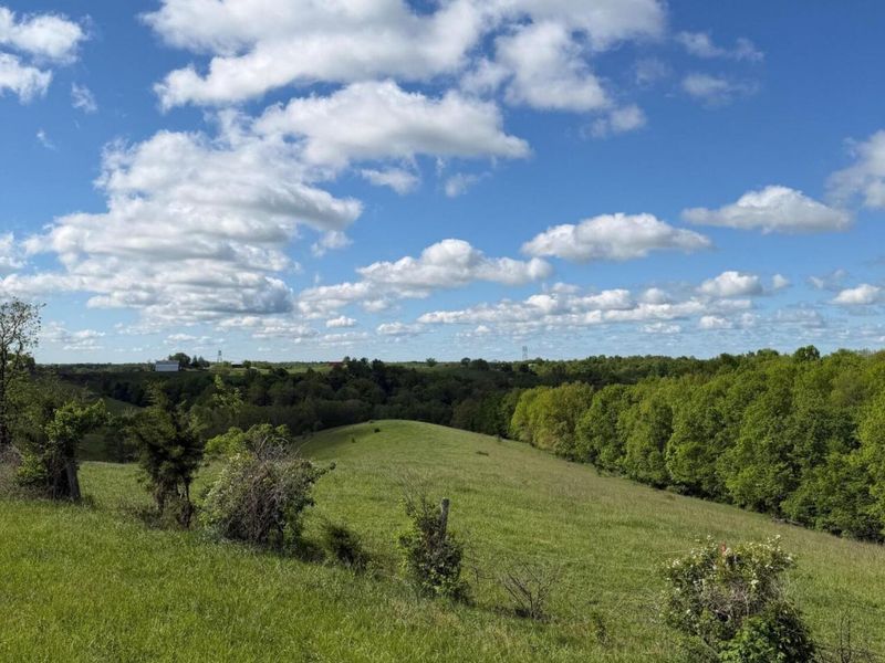 14.17 Ac Chipman Ridge Road, Williamstown, KY 41097 Photo 3