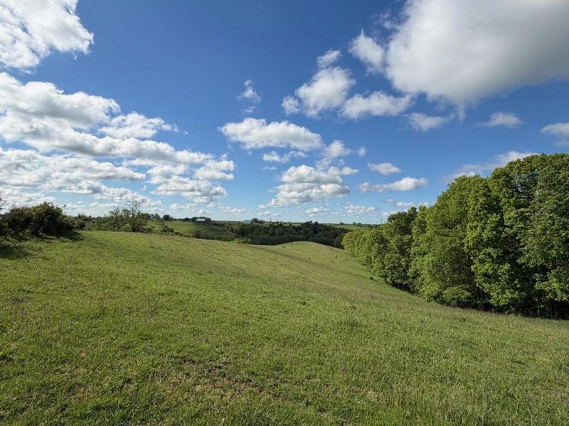14.17 Ac Chipman Ridge Road, Williamstown, KY 41097 Photo 4
