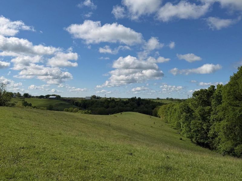 14.17 Ac Chipman Ridge Road, Williamstown, KY 41097 Photo 5