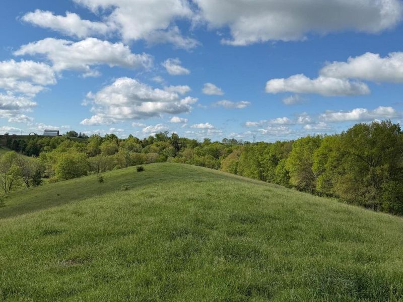 14.17 Ac Chipman Ridge Road, Williamstown, KY 41097 Photo 6