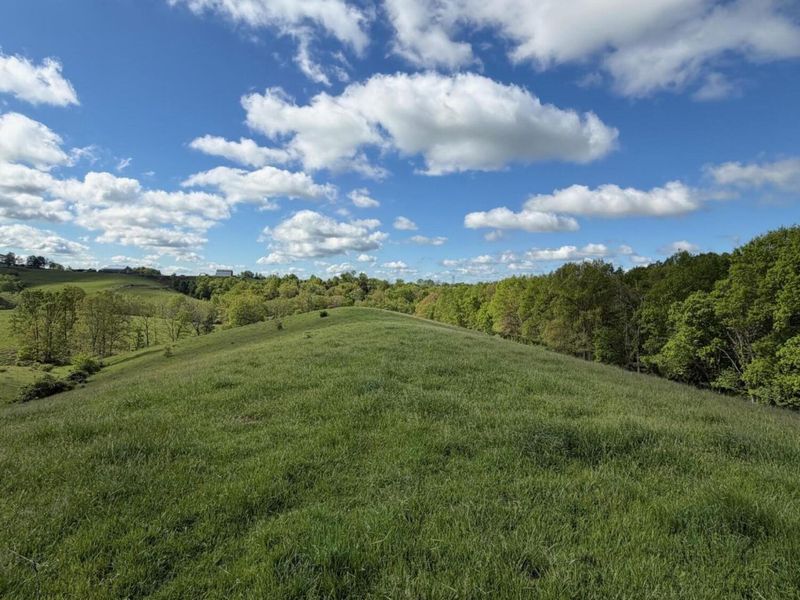 14.17 Ac Chipman Ridge Road, Williamstown, KY 41097 Photo 7