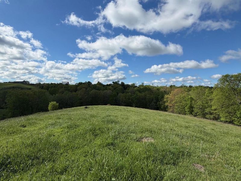 14.17 Ac Chipman Ridge Road, Williamstown, KY 41097 Photo 8