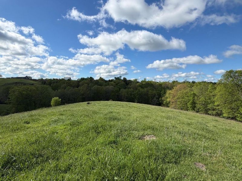 14.17 Ac Chipman Ridge Road, Williamstown, KY 41097 Photo 9