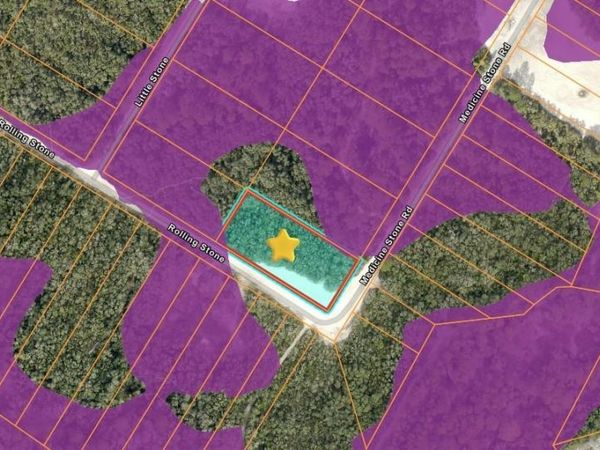 20122 MEDICINE STONE #10 DRIVE , WEBSTER, FL 33597