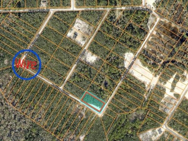 20122 MEDICINE STONE #10 DRIVE, WEBSTER, FL 33597
