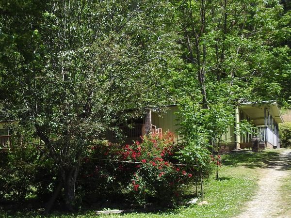 9503 Tails Creek Road, Ellijay, GA 30540