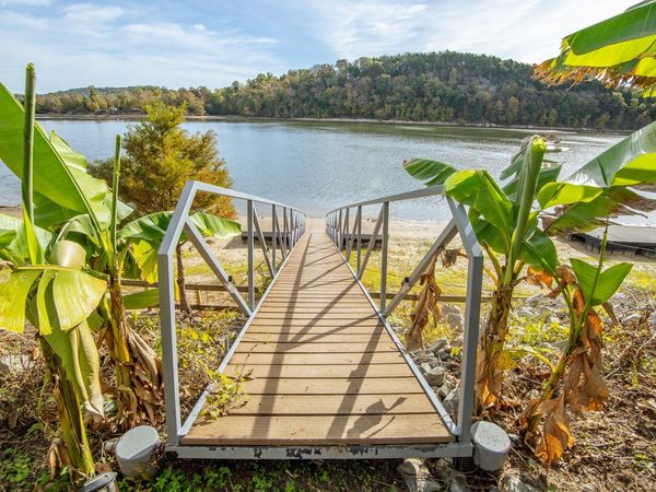 1040 Whites Creek Ln , Decaturville, TN 38329