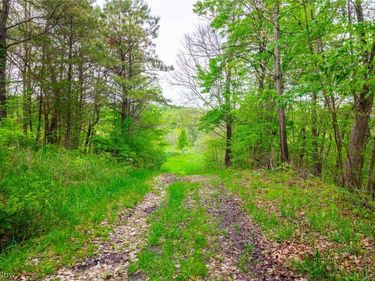 60936 Patch Road, New Concord, OH 43762