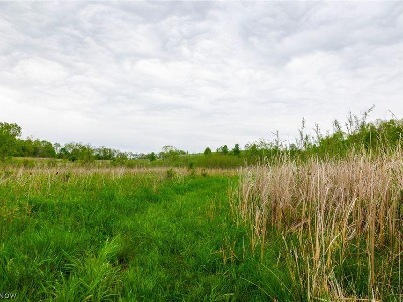 60936 Patch Road, New Concord, OH 43762 Photo 12