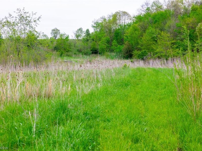 60936 Patch Road, New Concord, OH 43762 Photo 13