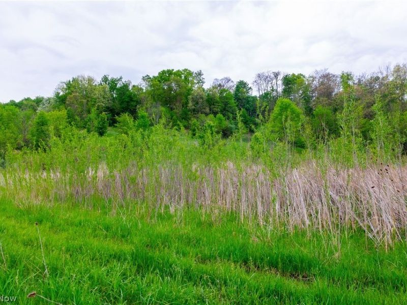 60936 Patch Road, New Concord, OH 43762 Photo 15