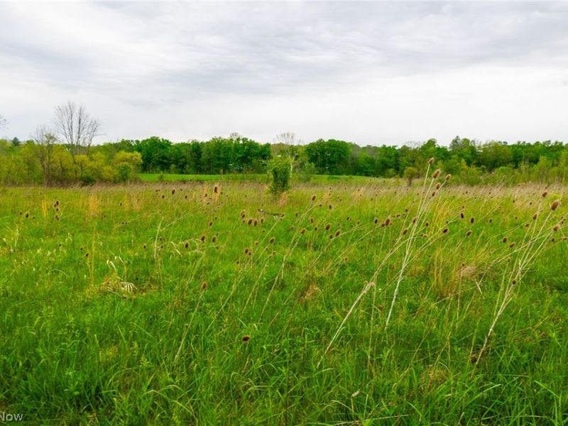 60936 Patch Road, New Concord, OH 43762 Photo 16