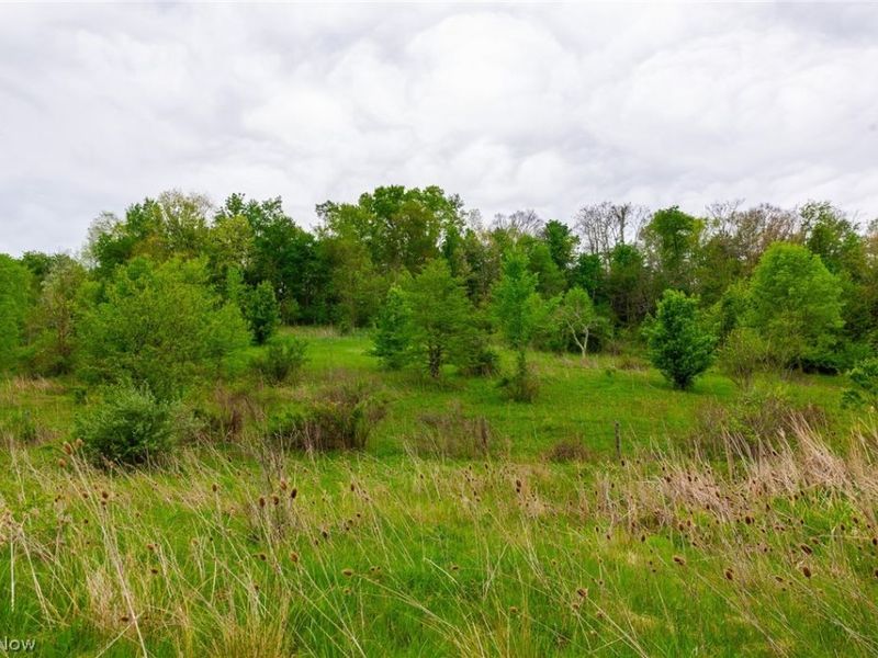60936 Patch Road, New Concord, OH 43762 Photo 17