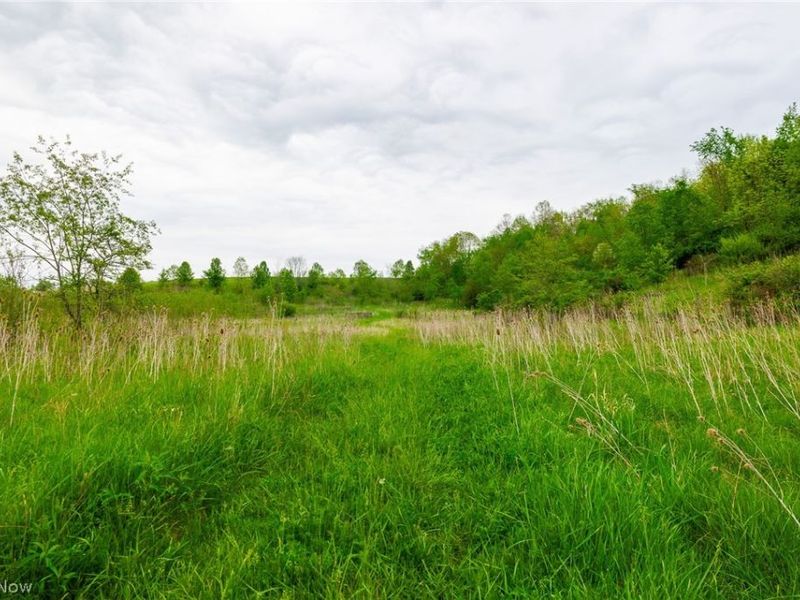 60936 Patch Road, New Concord, OH 43762 Photo 18