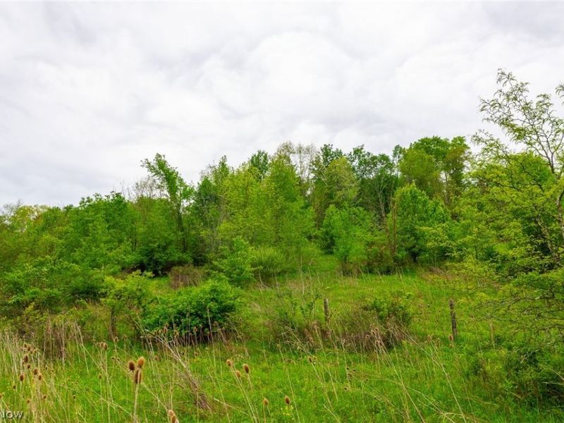 60936 Patch Road, New Concord, OH 43762 Photo 19