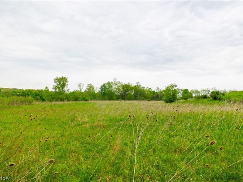 60936 Patch Road, New Concord, OH 43762 Photo 20