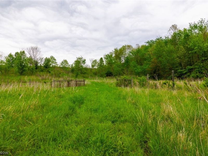 60936 Patch Road, New Concord, OH 43762 Photo 21