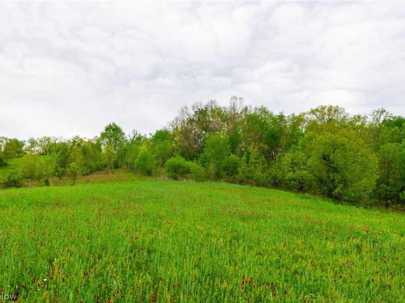 60936 Patch Road, New Concord, OH 43762 Photo 23