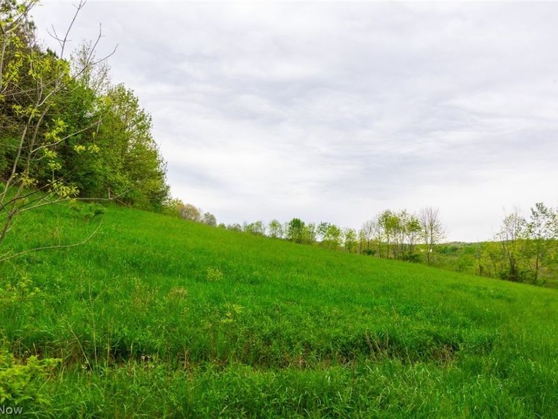 60936 Patch Road, New Concord, OH 43762 Photo 5