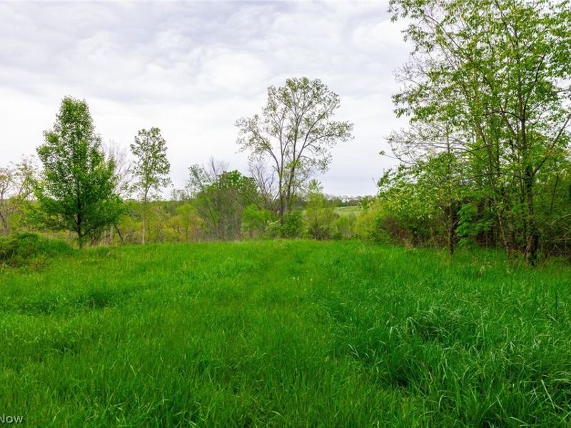 60936 Patch Road, New Concord, OH 43762 Photo 6