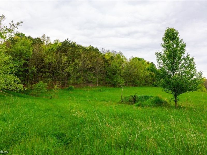60936 Patch Road, New Concord, OH 43762 Photo 7