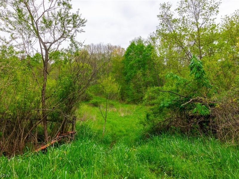60936 Patch Road, New Concord, OH 43762 Photo 8