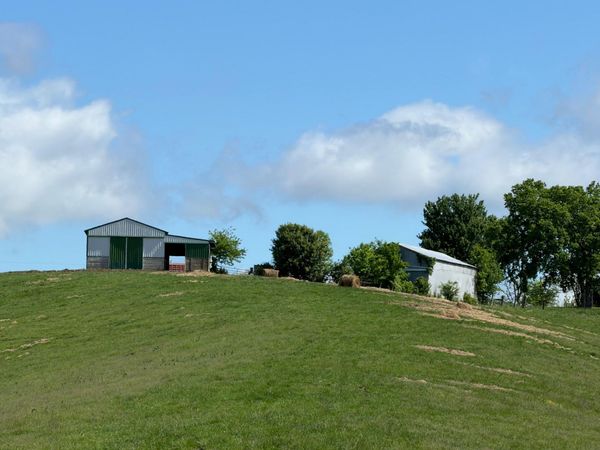 20.99 Ac Chipman Ridge Road, Williamstown, KY 41097