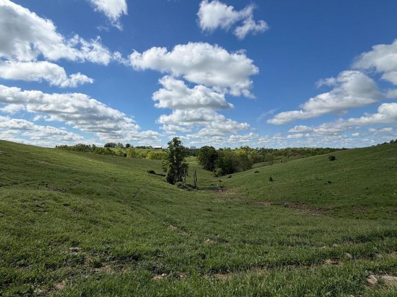 20.99 Ac Chipman Ridge Road, Williamstown, KY 41097 Photo 11