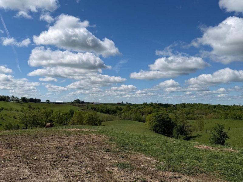 20.99 Ac Chipman Ridge Road, Williamstown, KY 41097 Photo 12