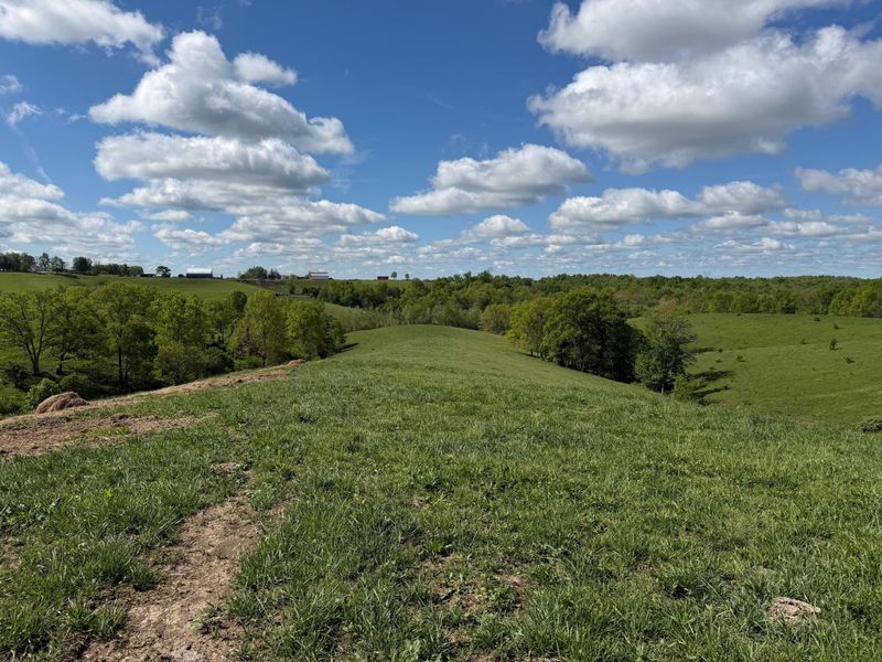 20.99 Ac Chipman Ridge Road, Williamstown, KY 41097 Photo 14